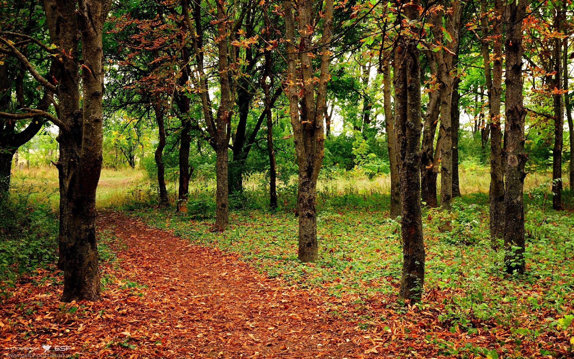 开云体育中国-迪巴拉防守端锁死对手，罗马强势拿下安戈拉