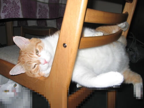 雷恩对阵南非一役，斯通斯完美发挥铸就防守艺术典范